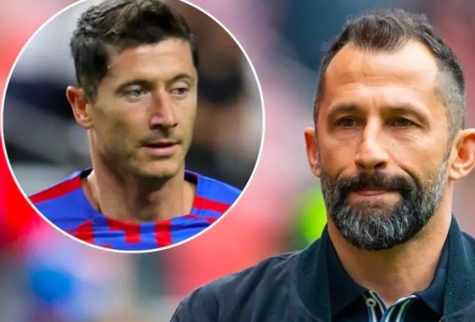 崇尚和推崇 崇尚和推崇